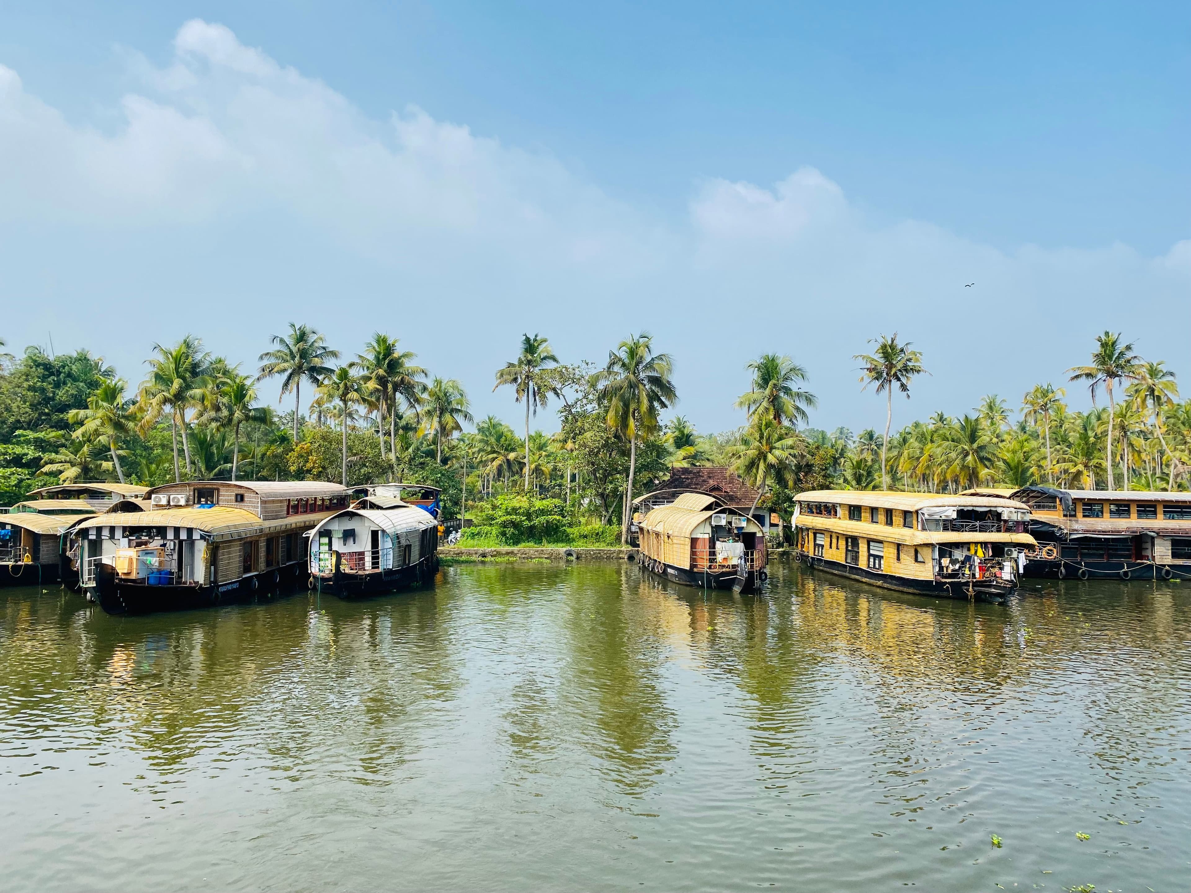 Best Family Vacation Destinations in India