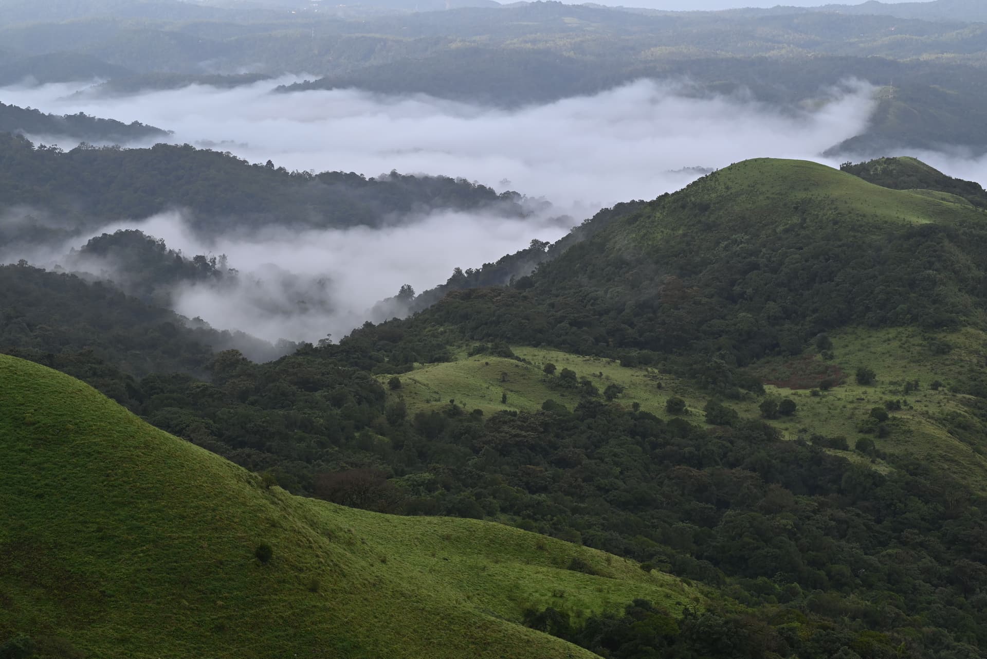 4 Days in Coorg Itinerary