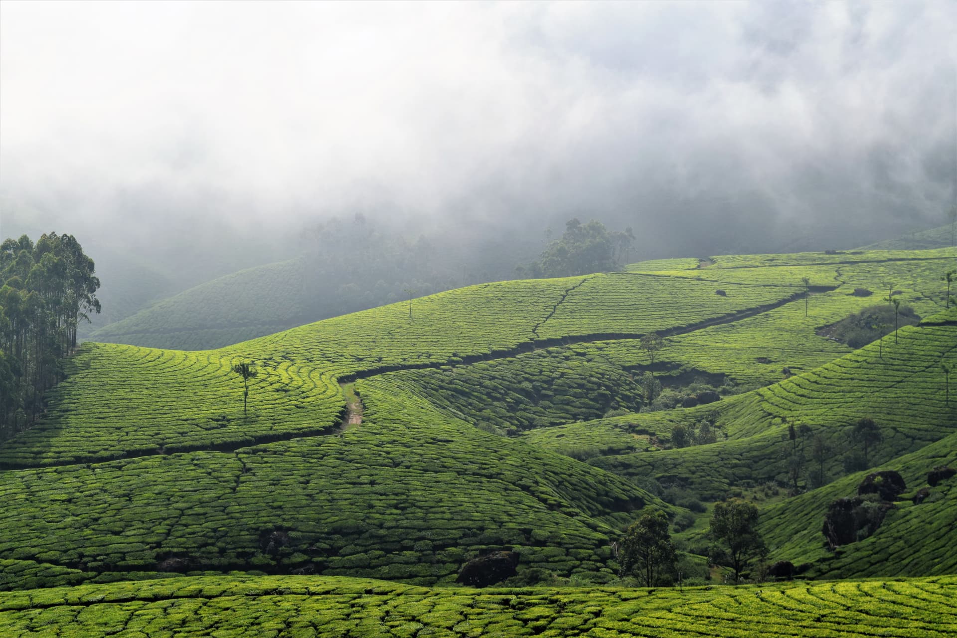 Best Honeymoon Destinations in India