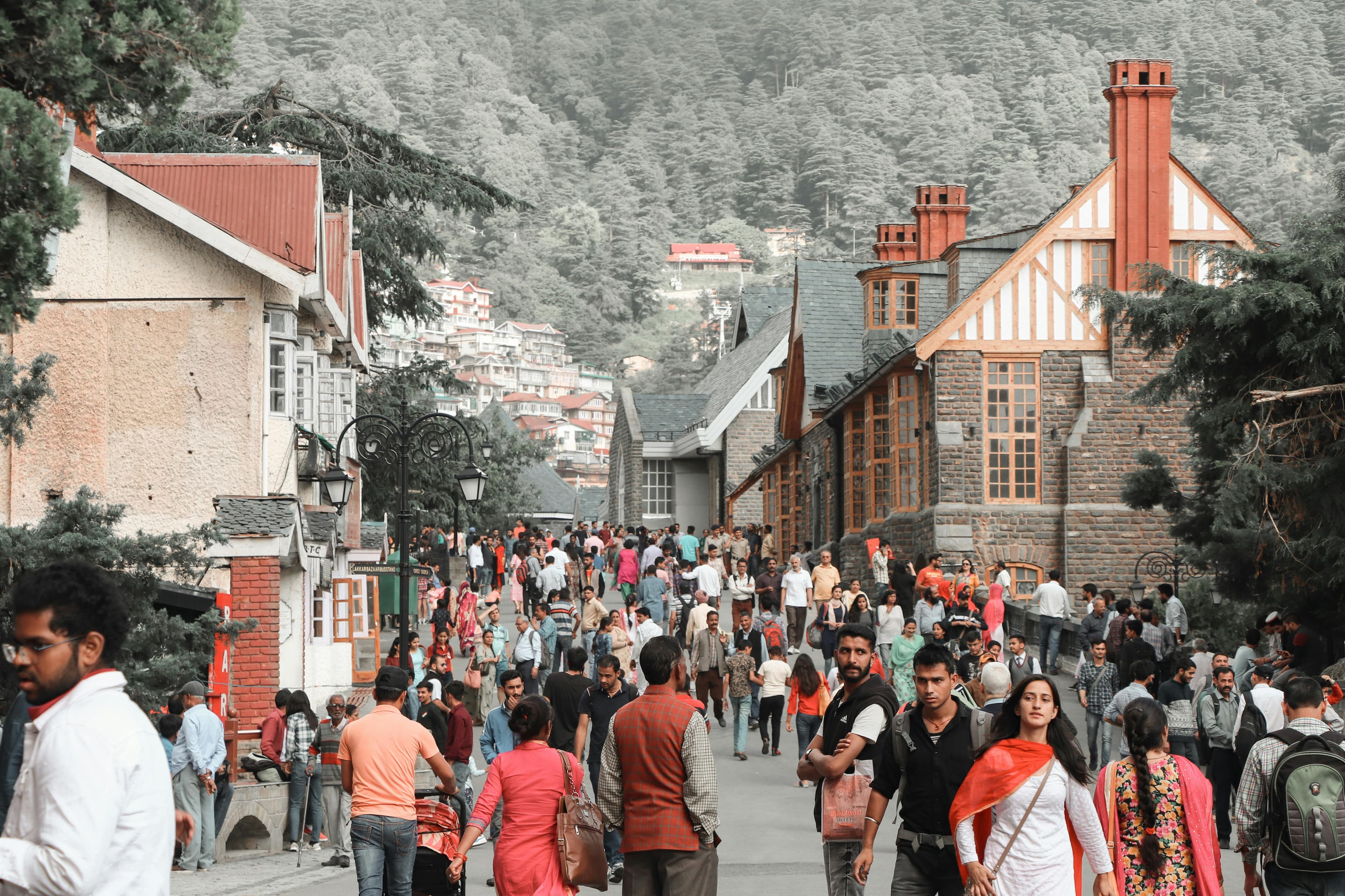 Shimla