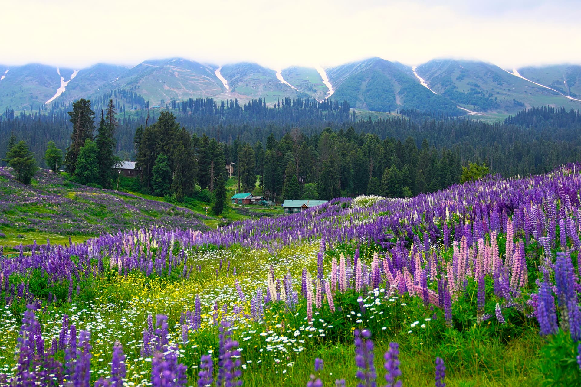 Best Places to Visit in India in September